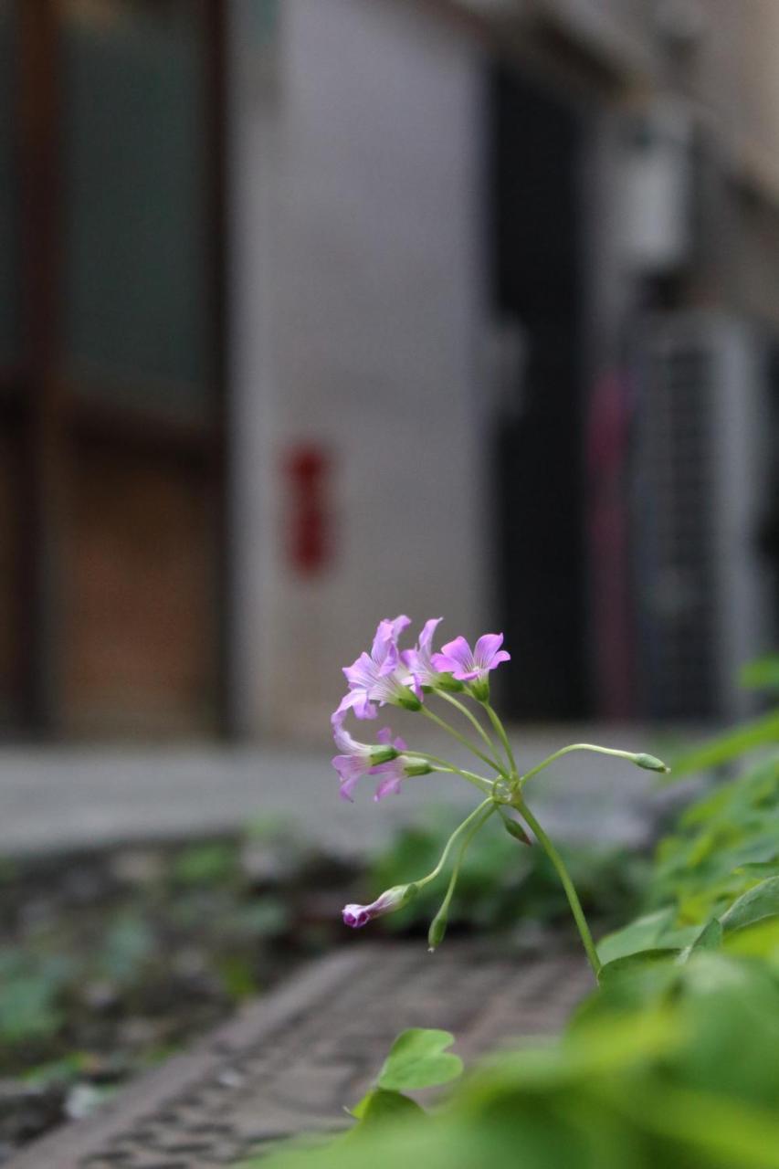 Chiyoda Inn Τόκιο Εξωτερικό φωτογραφία